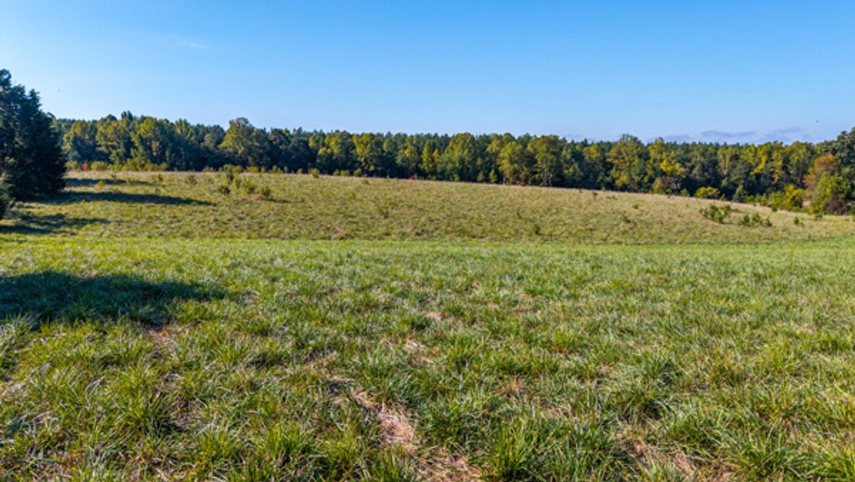 Image for 162 +/- Acres of Campbell County, VA Land Featuring Merchantable Timber, Potential Homesite, Road Frontage, Open & Wooded Sections, Pond, Wildlife & Agricultural Zoning!!