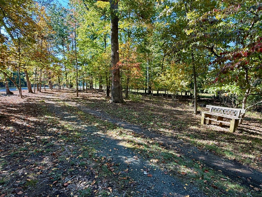 Image for 3 BR/1 BA Brick Home w/Walk-Out Basement & 2 Detached Garage/Shop/Storage Buildings on 14.1 +/- Mostly Wooded Acres--Orange, VA