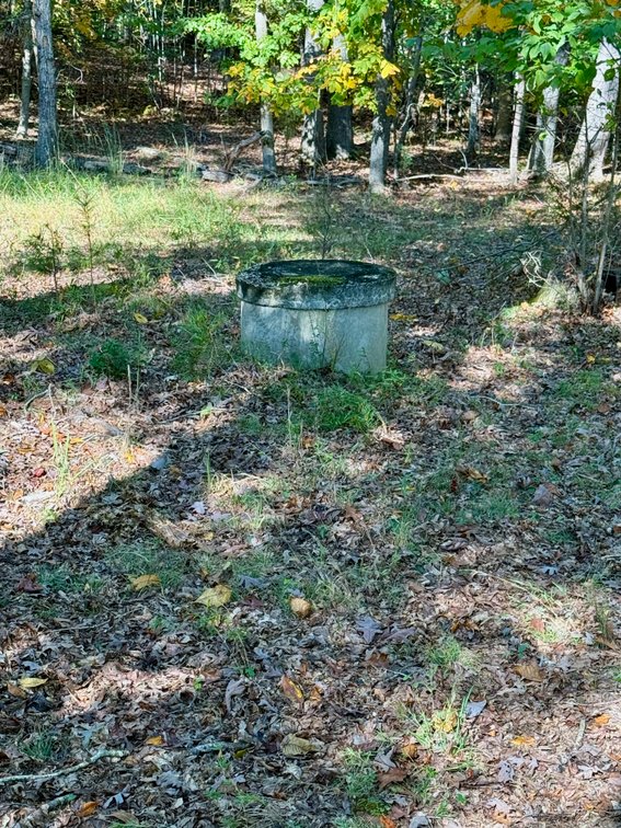 Image for 3 BR/1 BA Brick Home w/Walk-Out Basement & 2 Detached Garage/Shop/Storage Buildings on 14.1 +/- Mostly Wooded Acres--Orange, VA