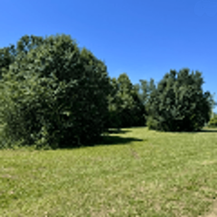 Image for ONLINE AUCTION ONLY!  3 bed 2 bath 16x76 mobile home on 1.39 un-restricted acres - beautiful lot!