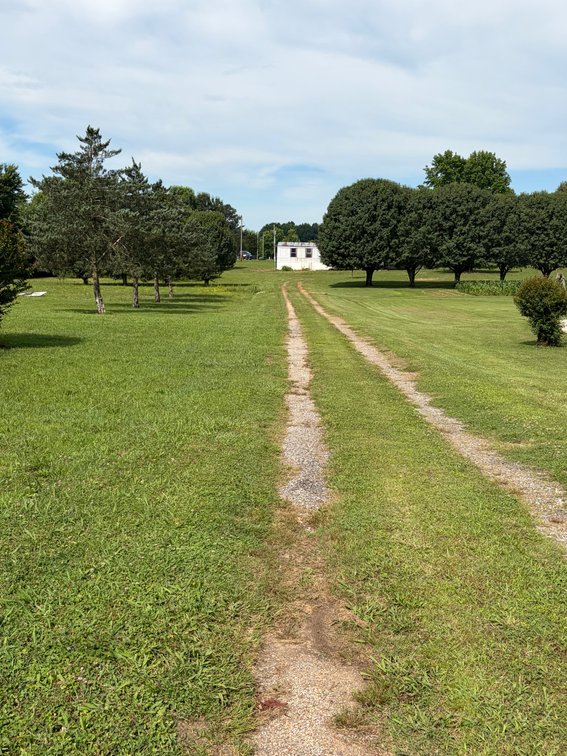 Image for ONLINE AUCTION ONLY!  3 bed 2 bath 16x76 mobile home on 1.39 un-restricted acres - beautiful lot!