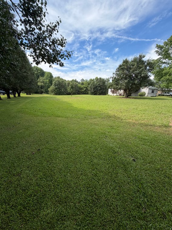 Image for ONLINE AUCTION ONLY!  3 bed 2 bath 16x76 mobile home on 1.39 un-restricted acres - beautiful lot!