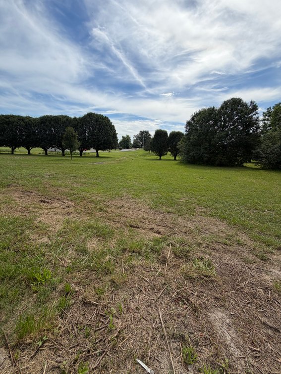 Image for ONLINE AUCTION ONLY!  3 bed 2 bath 16x76 mobile home on 1.39 un-restricted acres - beautiful lot!
