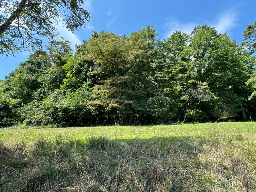 Image for 51475 Sarahsville Rd. 43779