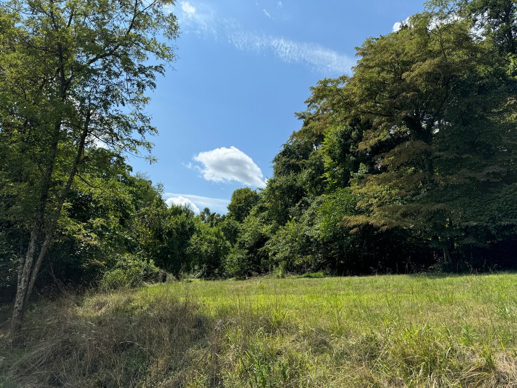 Image for 51475 Sarahsville Rd. 43779