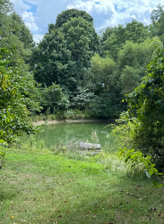 Image for 51475 Sarahsville Rd. 43779