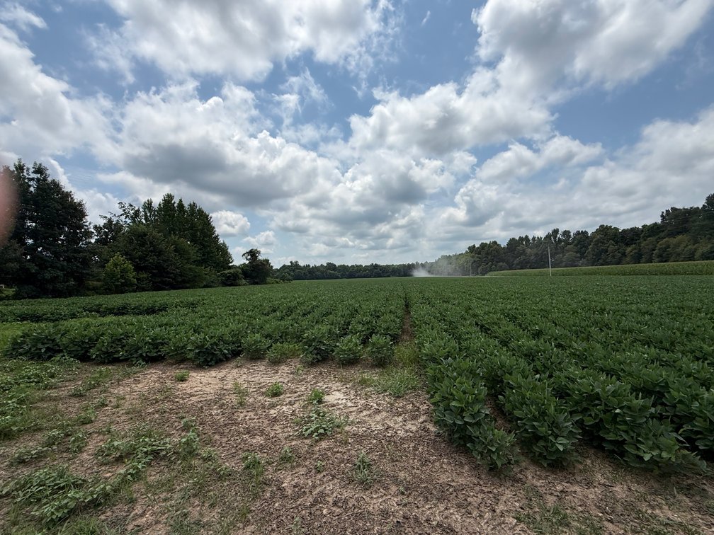 Image for 230 ACRES FARMLAND CROCKETT ARKANSAS