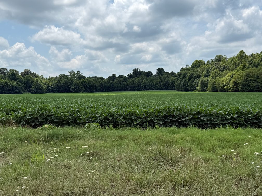 Image for 230 ACRES FARMLAND CROCKETT ARKANSAS