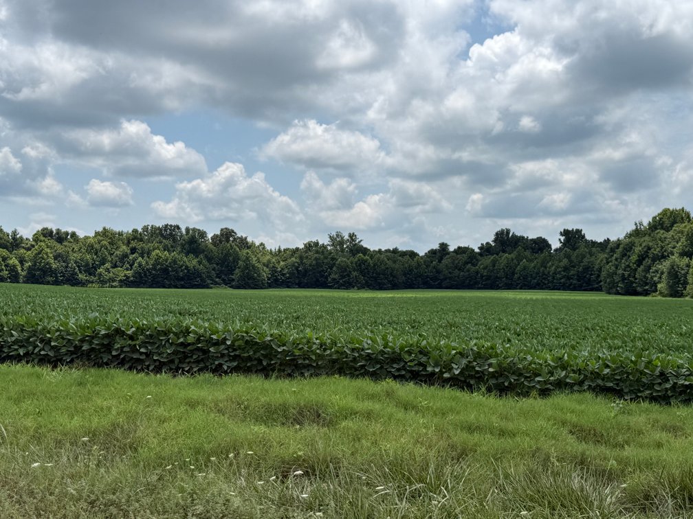 Image for 230 ACRES FARMLAND CROCKETT ARKANSAS