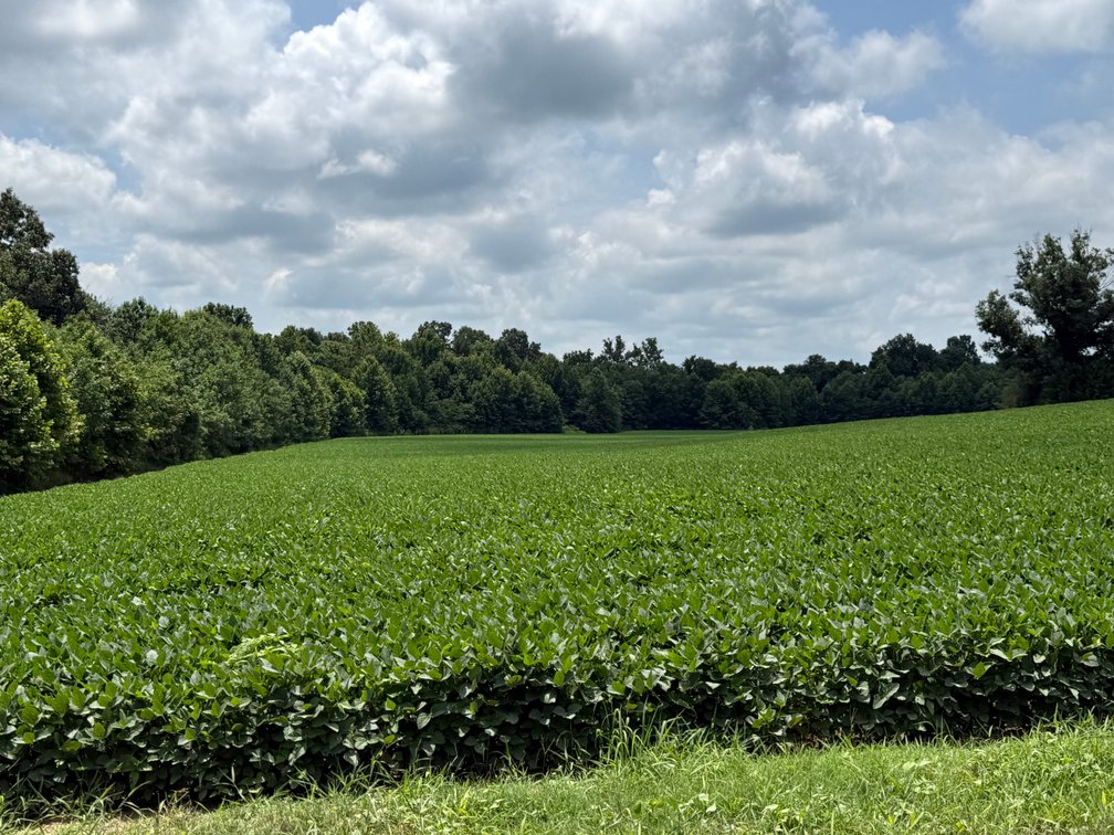 Image for 230 ACRES FARMLAND CROCKETT ARKANSAS