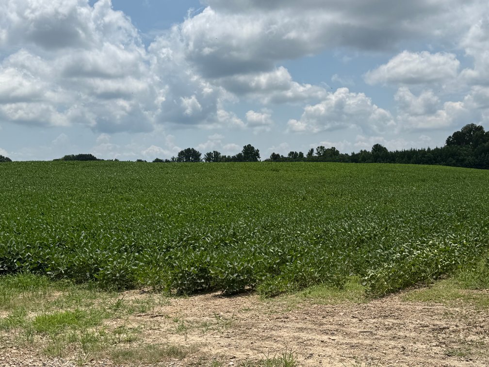 Image for 230 ACRES FARMLAND CROCKETT ARKANSAS