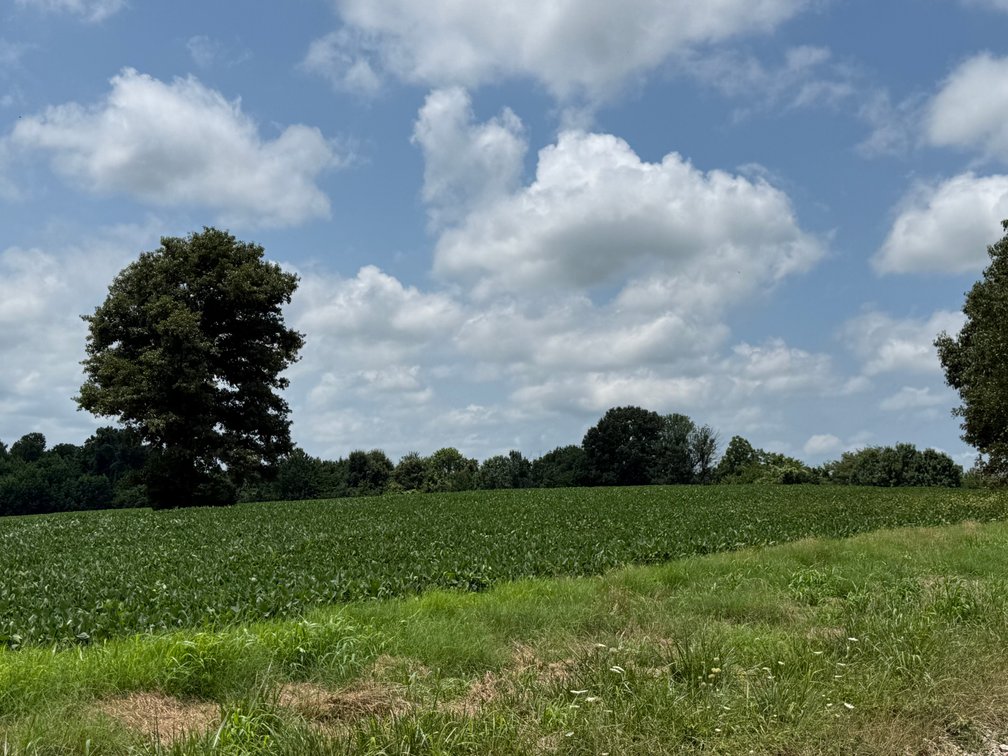 Image for 230 ACRES FARMLAND CROCKETT ARKANSAS