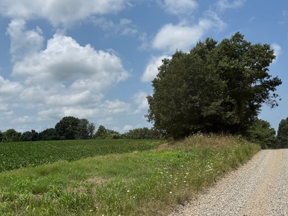 Image for 230 ACRES FARMLAND CROCKETT ARKANSAS