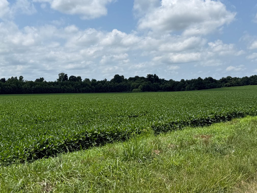 Image for 230 ACRES FARMLAND CROCKETT ARKANSAS