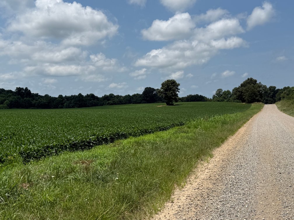 Image for 230 ACRES FARMLAND CROCKETT ARKANSAS