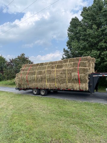 Image for July equipment Auction