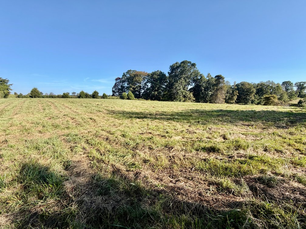 Image for ABSOLUTE LIVE-ONSITE AUCTION HOUSE & 8.98 ACRES | 1781 S. HWY 837, NANCY, KY