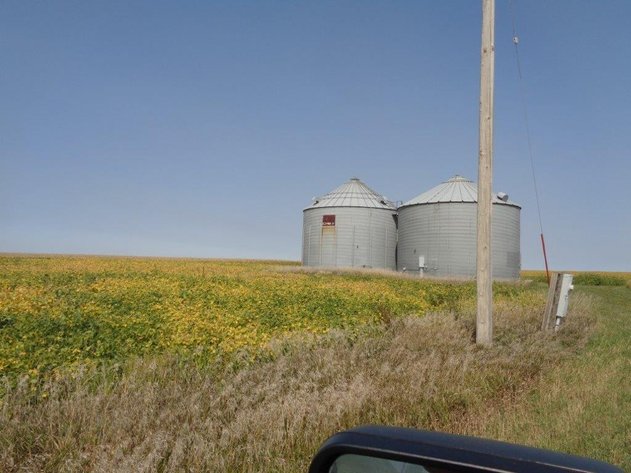 Image for Calhoun County Land Auction!