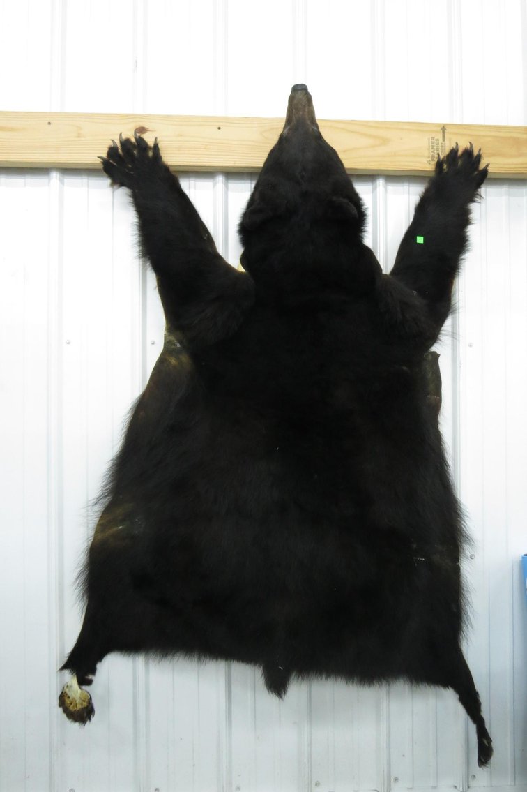 Image for Cold Springs Gallery