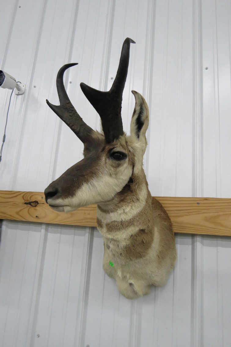 Image for Cold Springs Gallery