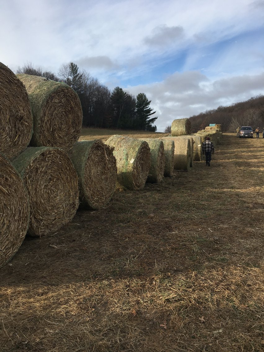 Image for EARLY FEBRUARY HAY AND FIREWOOD AUCTION
