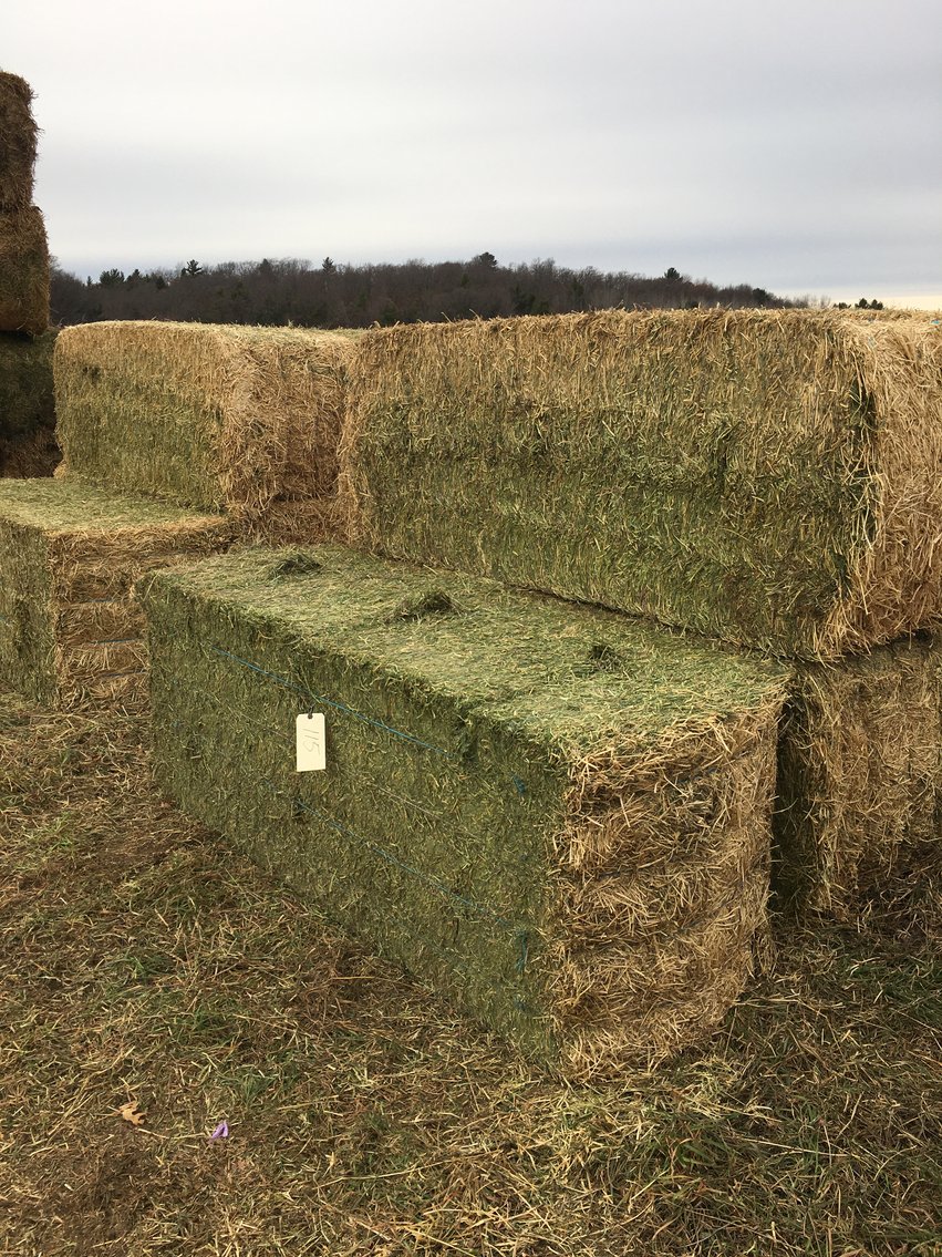 Image for EARLY FEBRUARY HAY AND FIREWOOD AUCTION