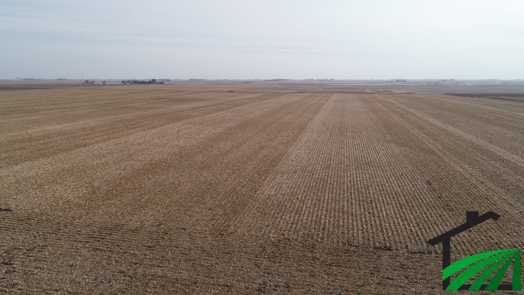 Image for Calhoun County Land Auction!