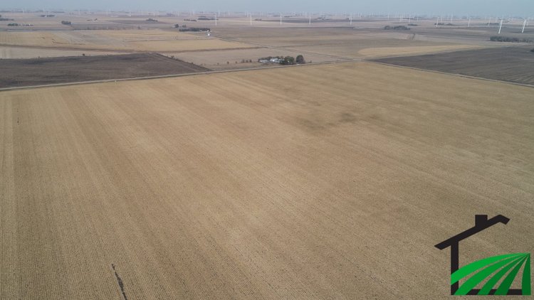 Image for Calhoun County Land Auction!