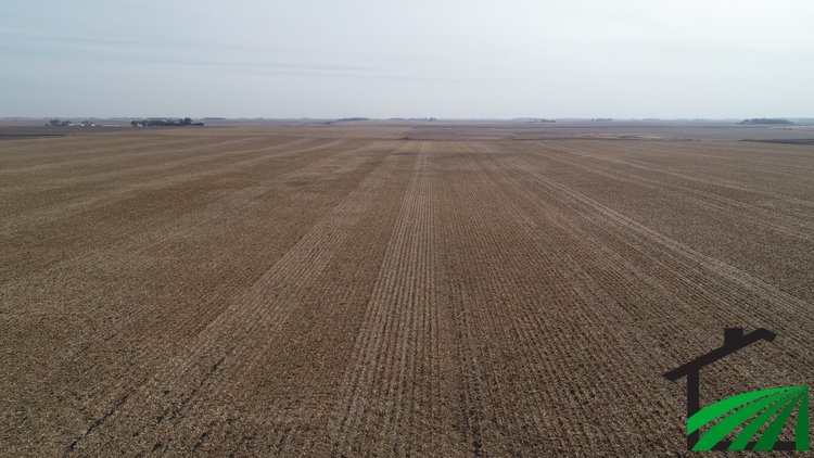 Image for Calhoun County Land Auction!