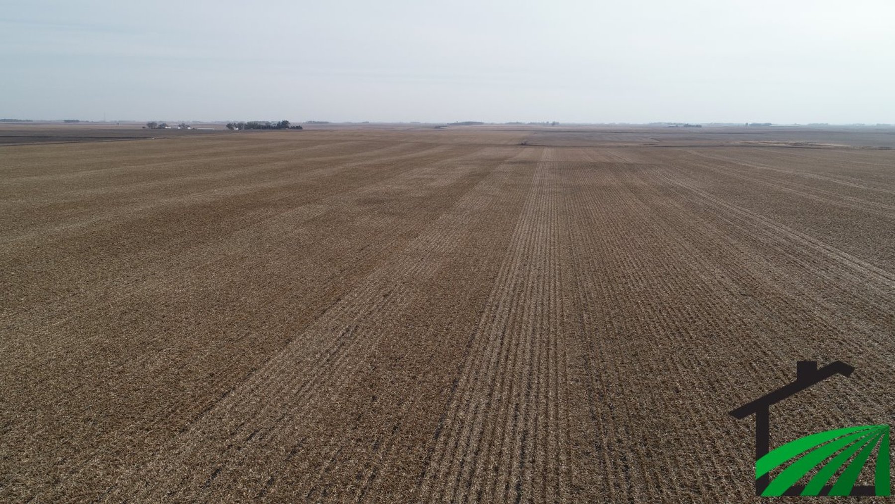 Image for Calhoun County Land Auction!