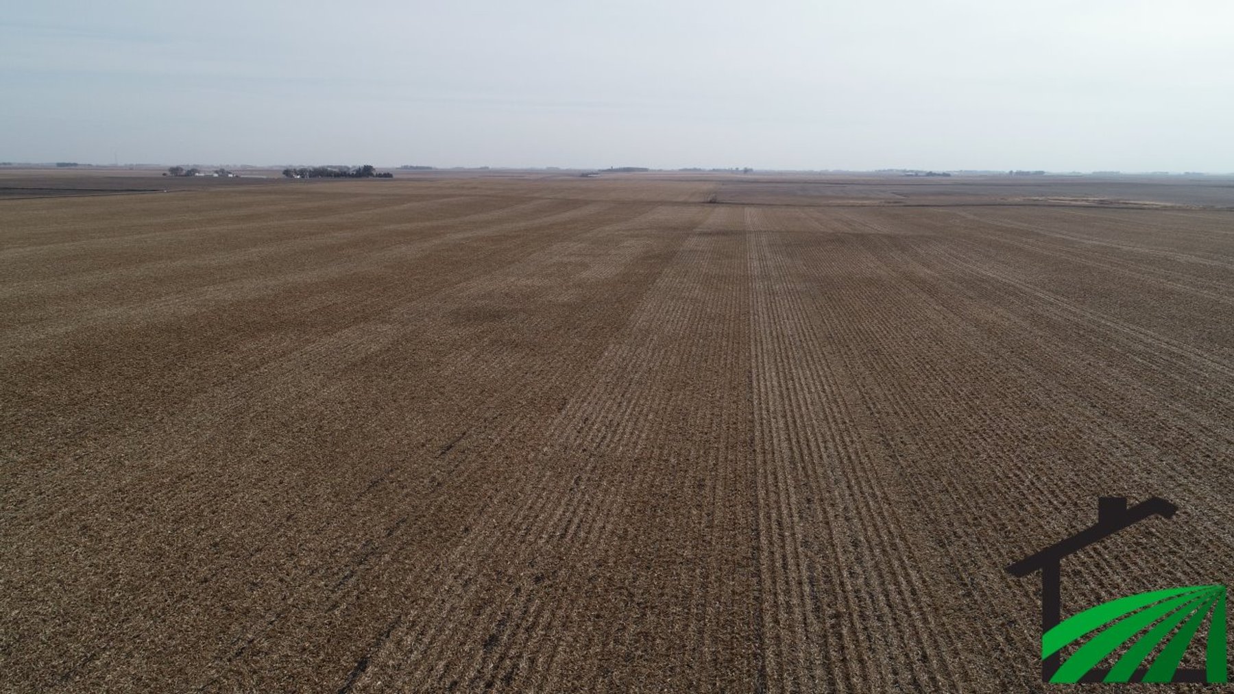 Image for Calhoun County Land Auction!