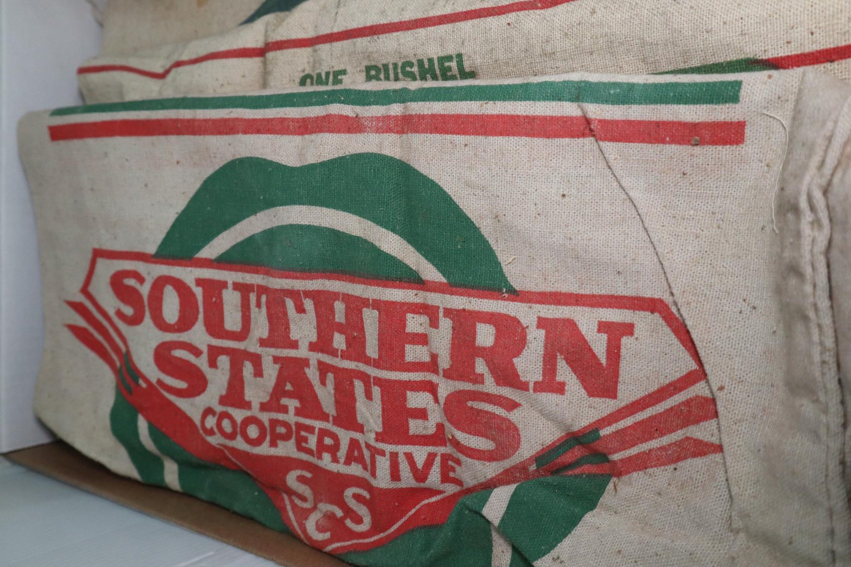 Image for Hidden Treasures Gallery