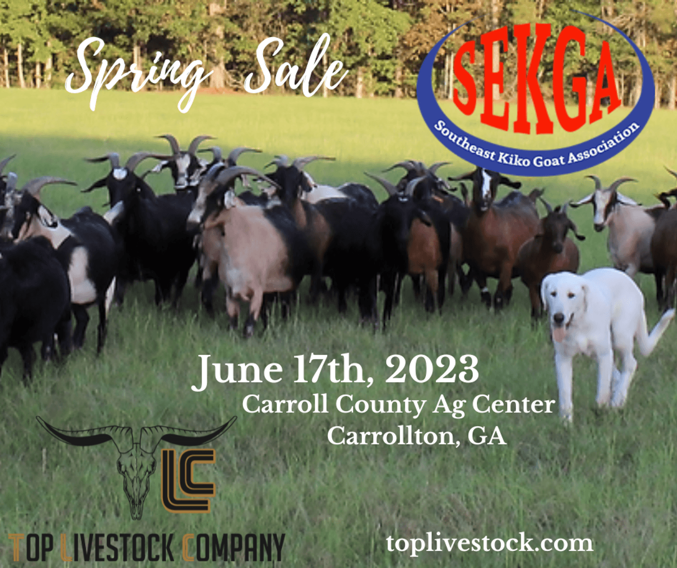 Image for 2023 SEKGA - Spring Sale