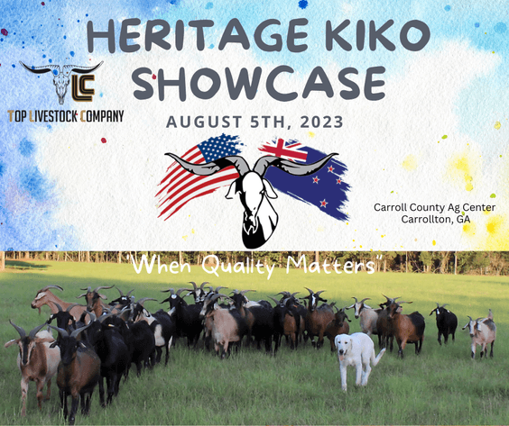 Image for 2023 Heritage Kiko Showcase Sale