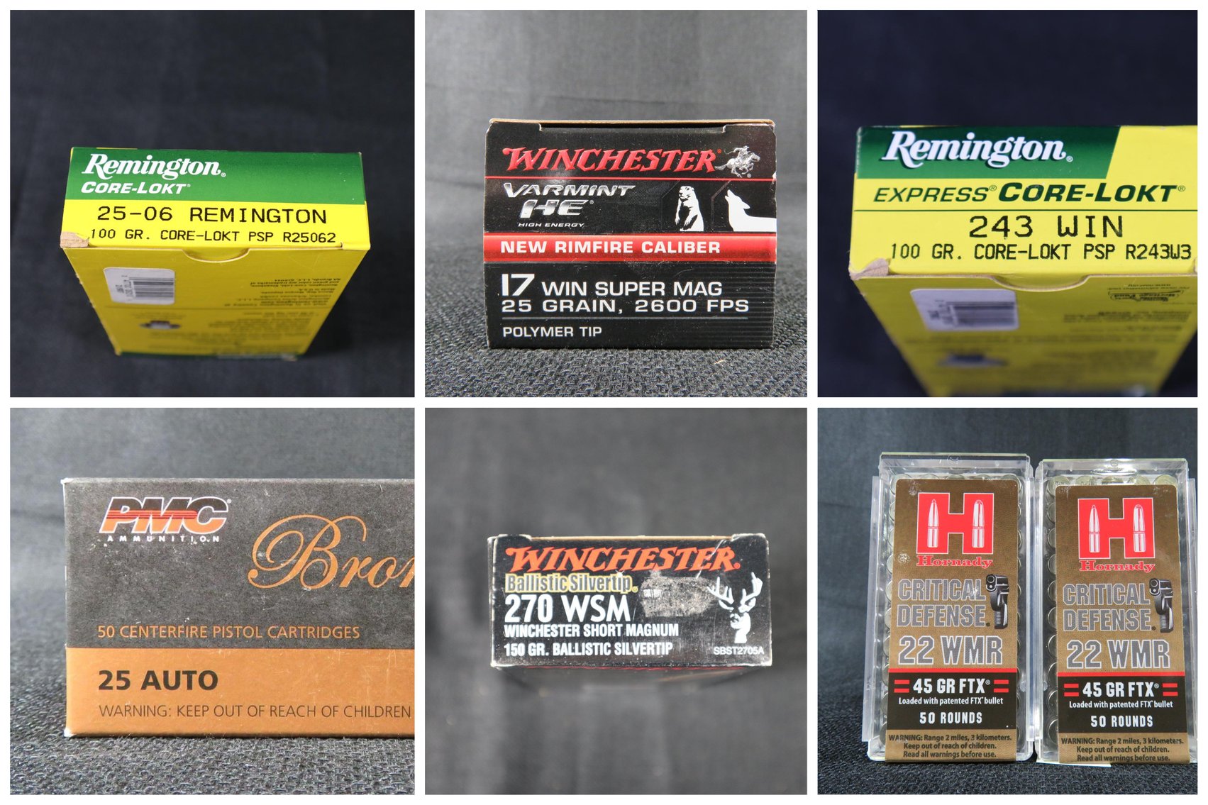 Image for Ammunition and Accessories