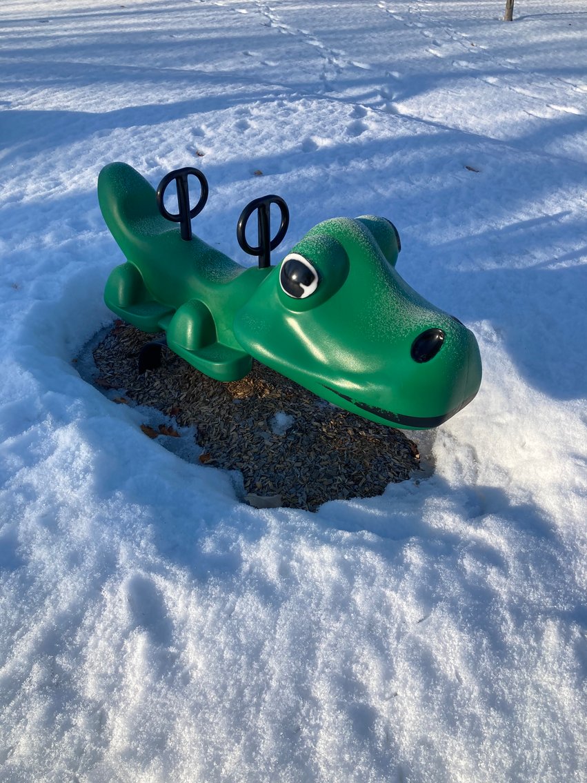 Image for Complete Playground Structure (Sunny Acres Park)