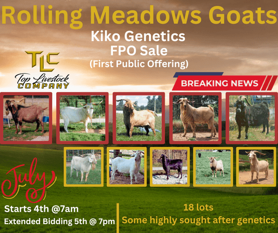 Image for Rolling Meadows Goat- FPO Sale