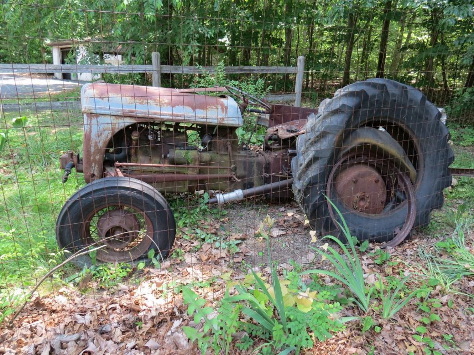 Image for Peters Estate Wholesale Auction