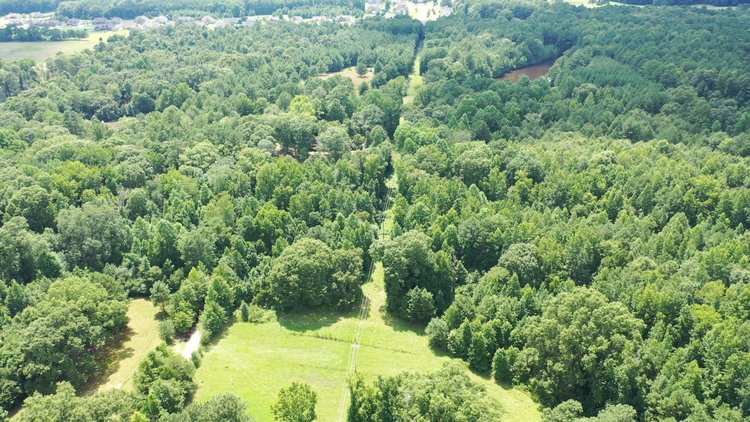 Image for 62.7± Acres at 243 & 279 Linch Rd., Senoia GA 30276 (Coweta County)