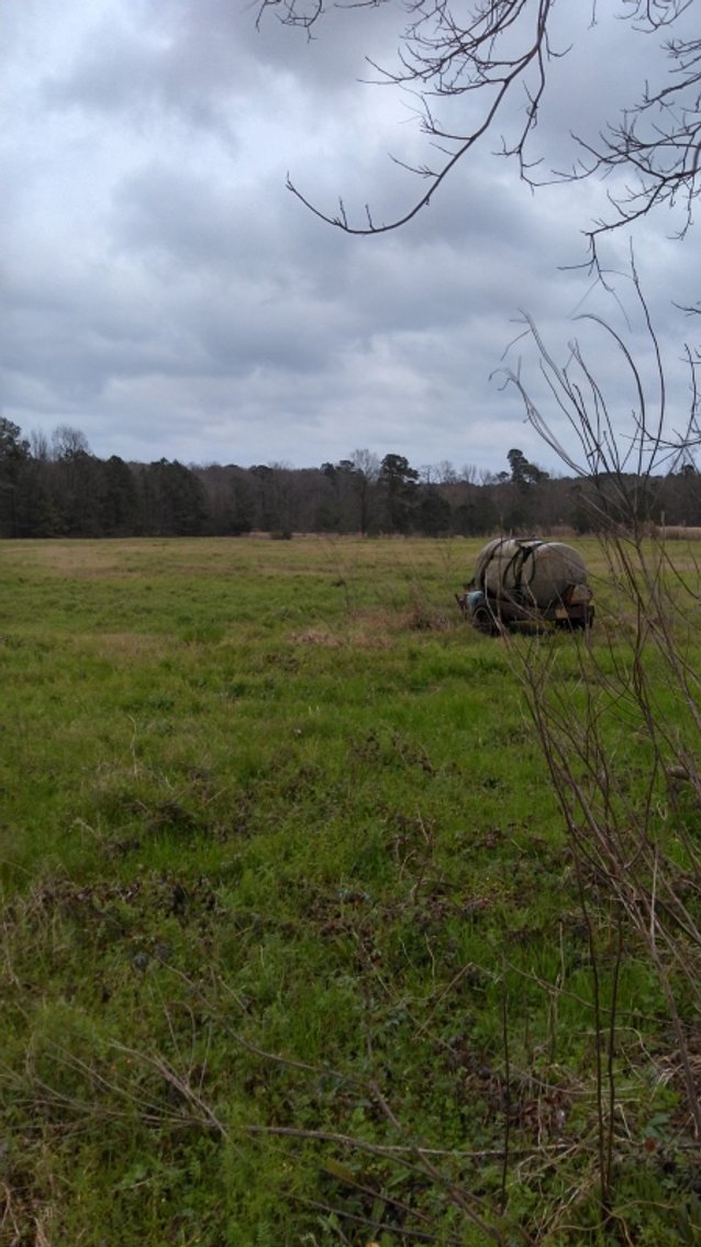 Image for Stamps, AR: Absolute Auction of 10± Acre Tract on CR 26 in Stamps, AR 71860 (Lafayette County)