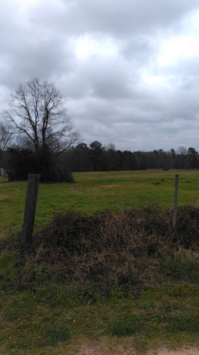 Image for Stamps, AR: Absolute Auction of 10± Acre Tract on CR 26 in Stamps, AR 71860 (Lafayette County)