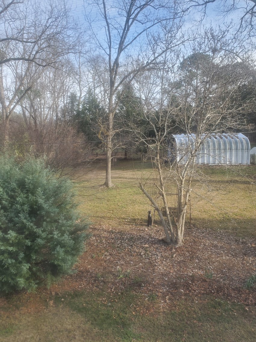 Image for Warm Springs, GA: 3BR/1BA Restored Farmhouse and 2BR/1.5BA Custom Log Cabin on 68.4± Acres at 1101 & 1103 Hudson Rd, Warm Springs, GA 30084  (Meriwether County)