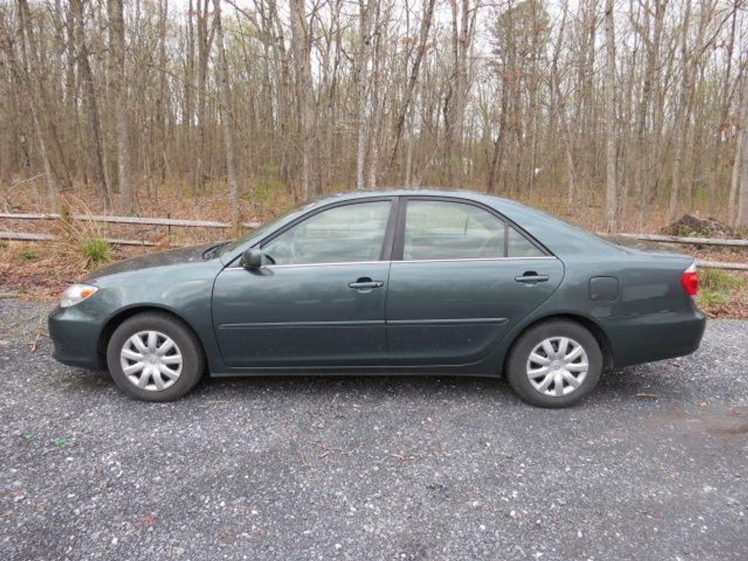 Image for Cold Springs Gallery