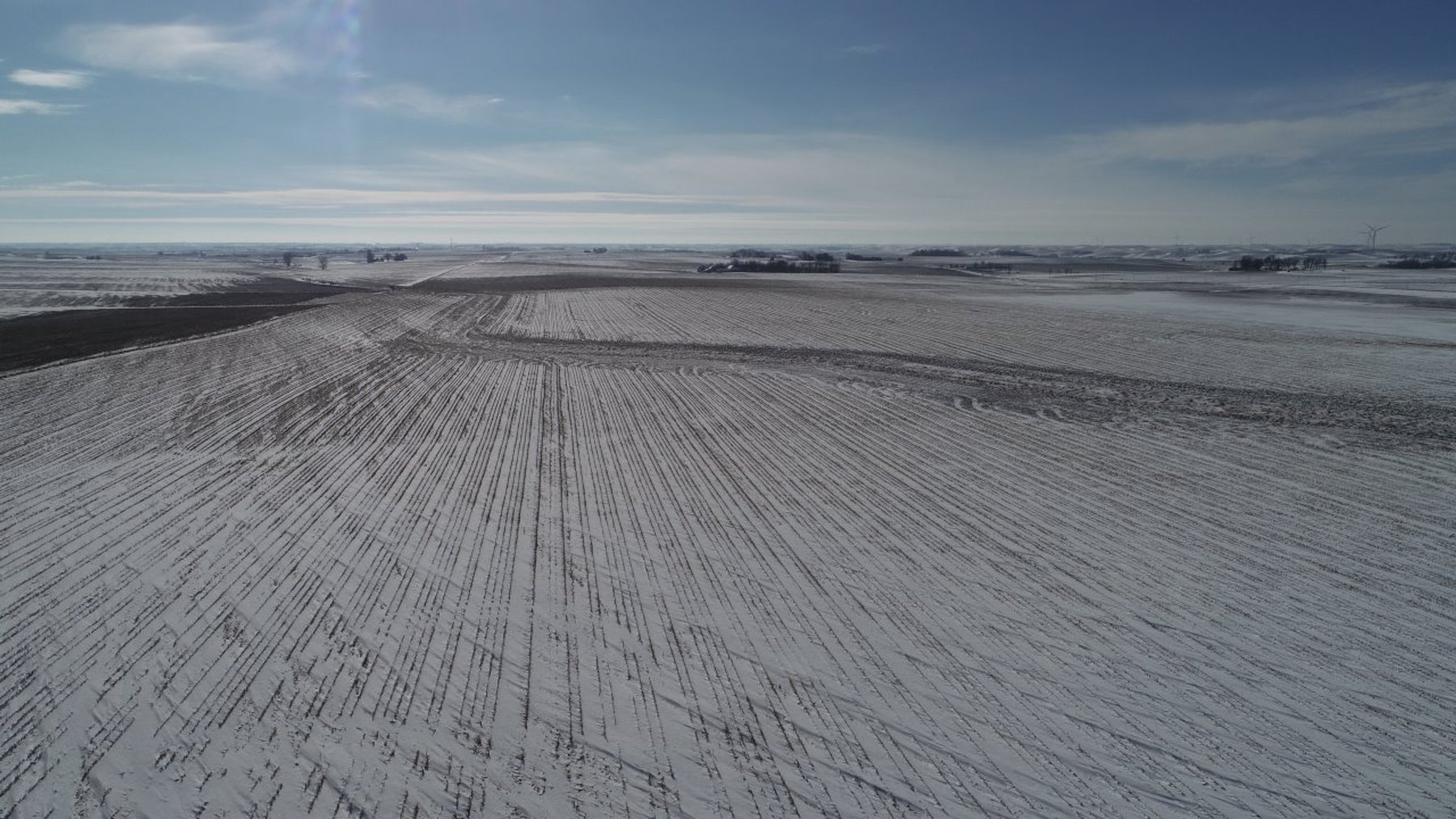Image for Sac County, Iowa Farmland Auction!