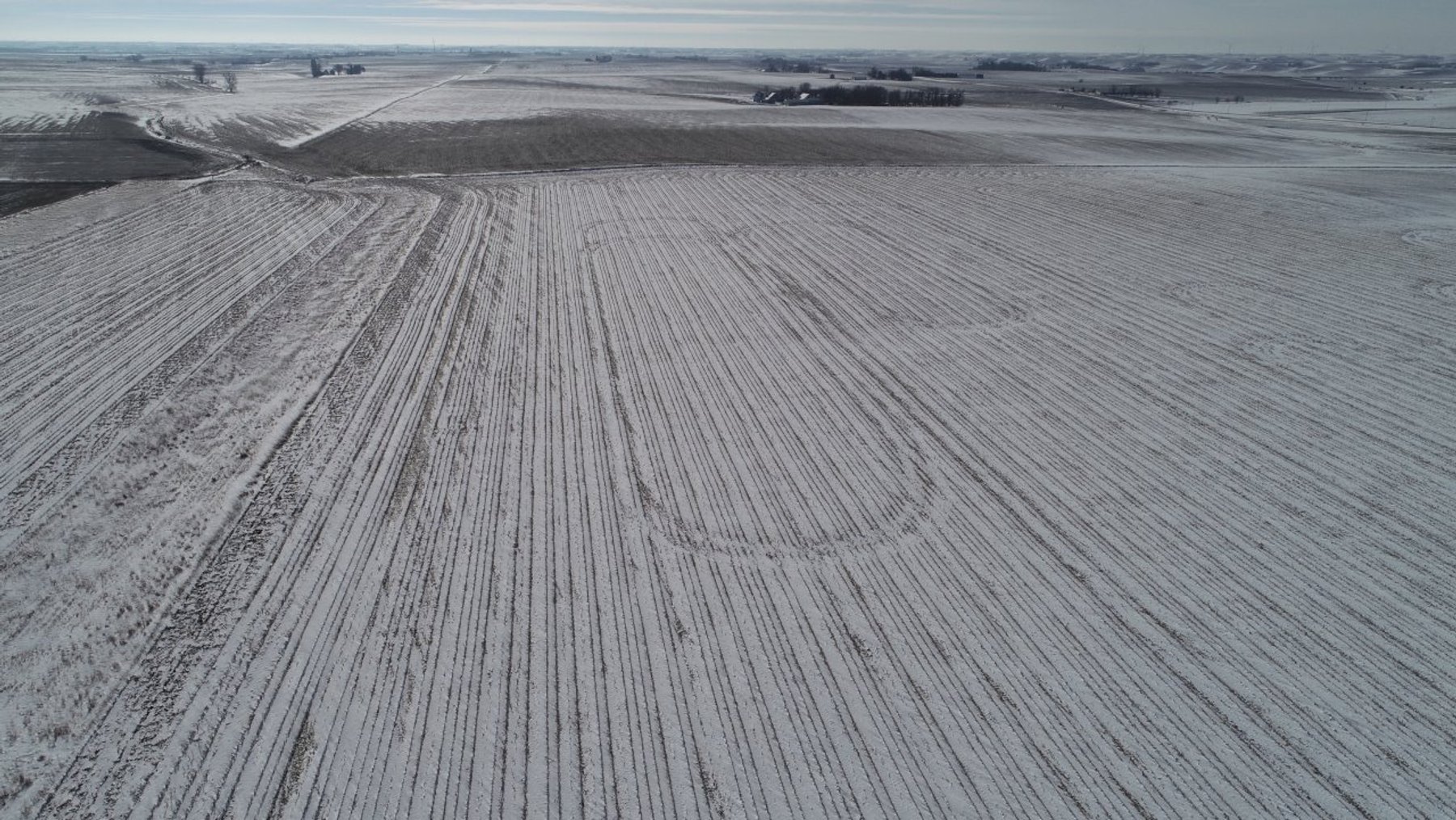 Image for Sac County, Iowa Farmland Auction!