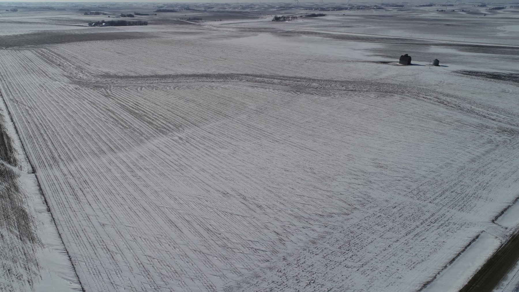 Image for Sac County, Iowa Farmland Auction!