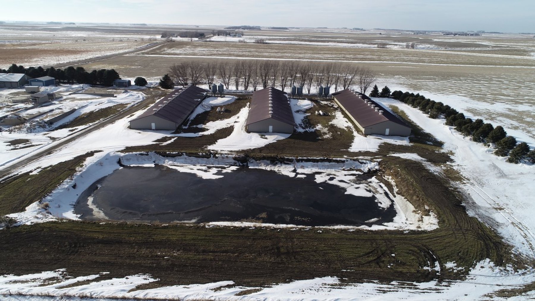 Image for 3300 Head Hog Site and Machinery Auction!