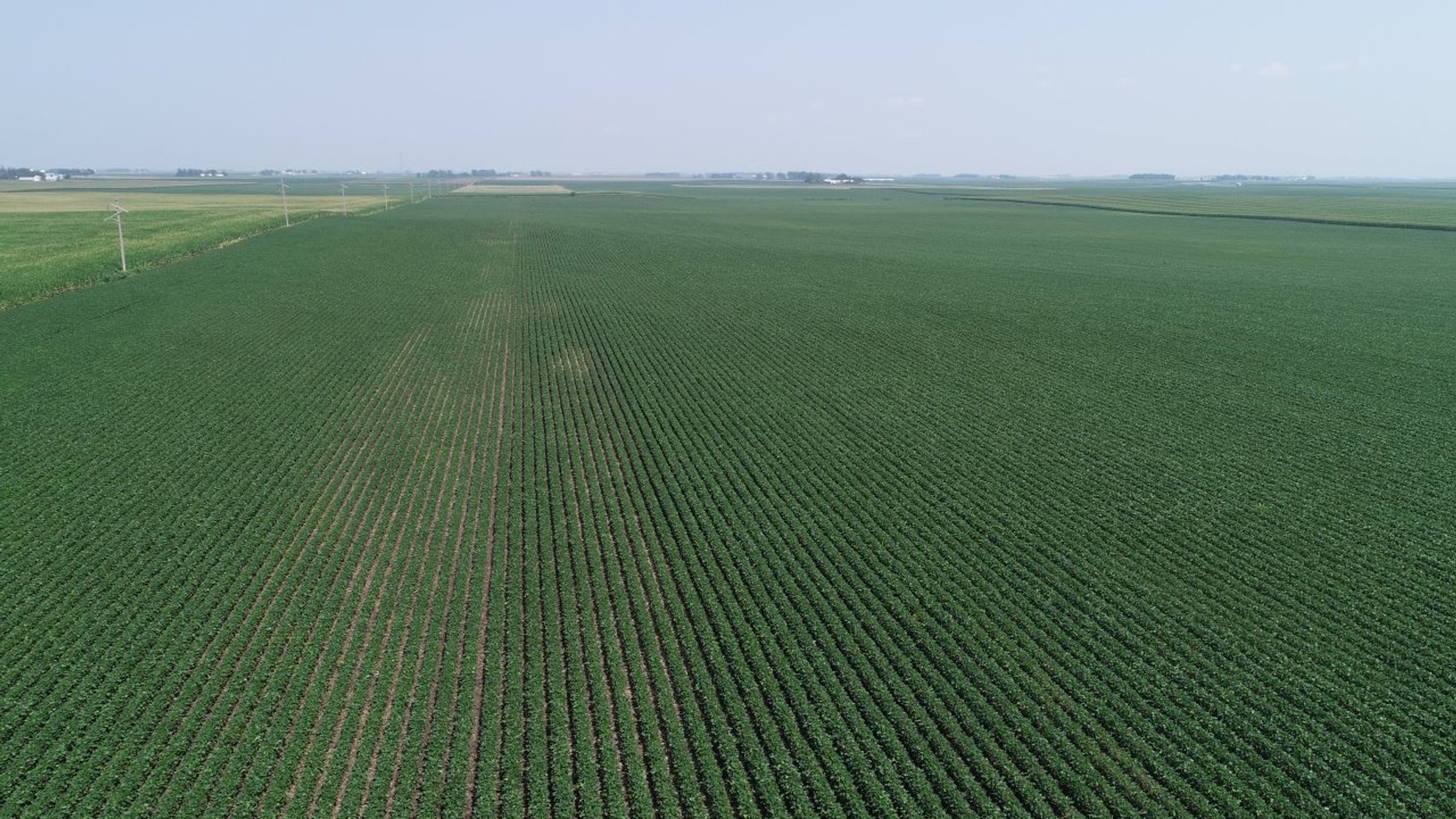 Image for Calhoun County Farmland Auction