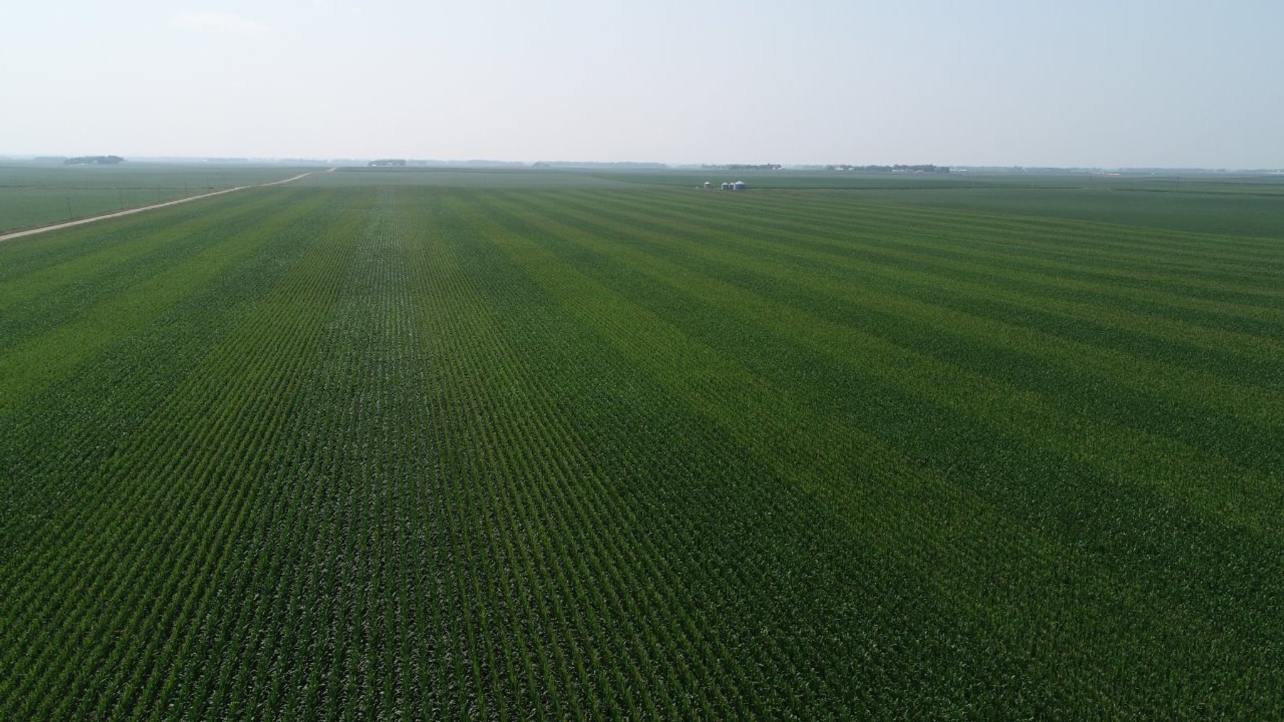 Image for Calhoun County Farmland Auction