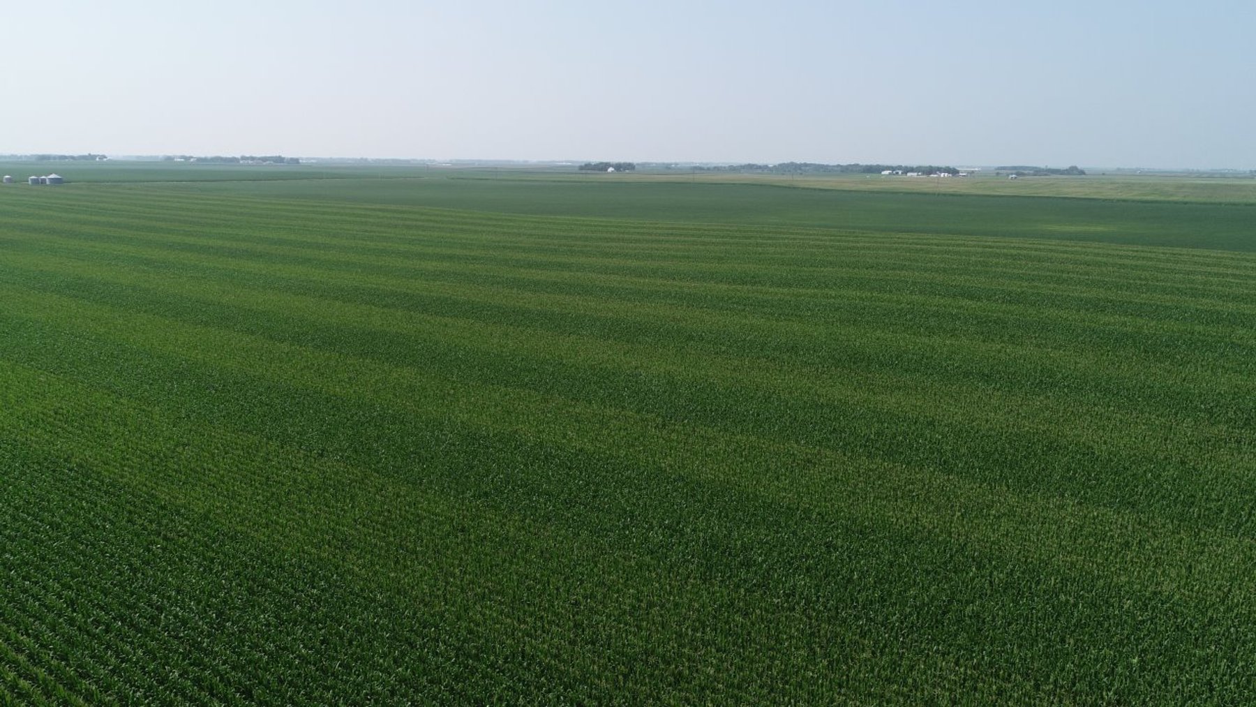 Image for Calhoun County Farmland Auction